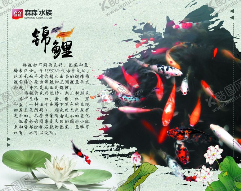 编号：68339710111907192357【酷图网】源文件下载-森森水族