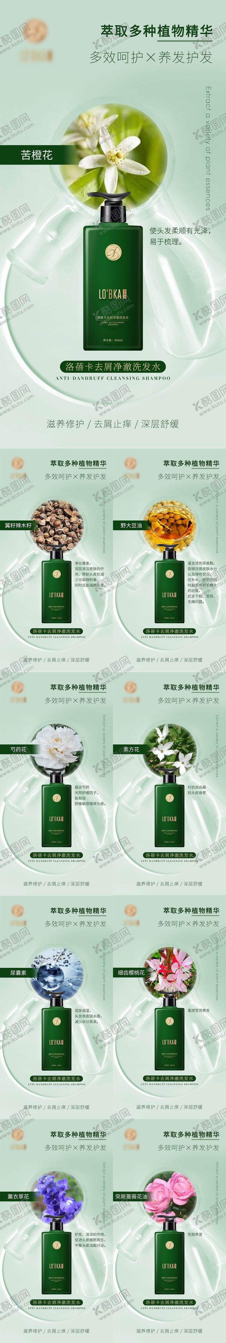 编号：36780909011126186498【酷图网】源文件下载-洗发水护发产品成分海报系列