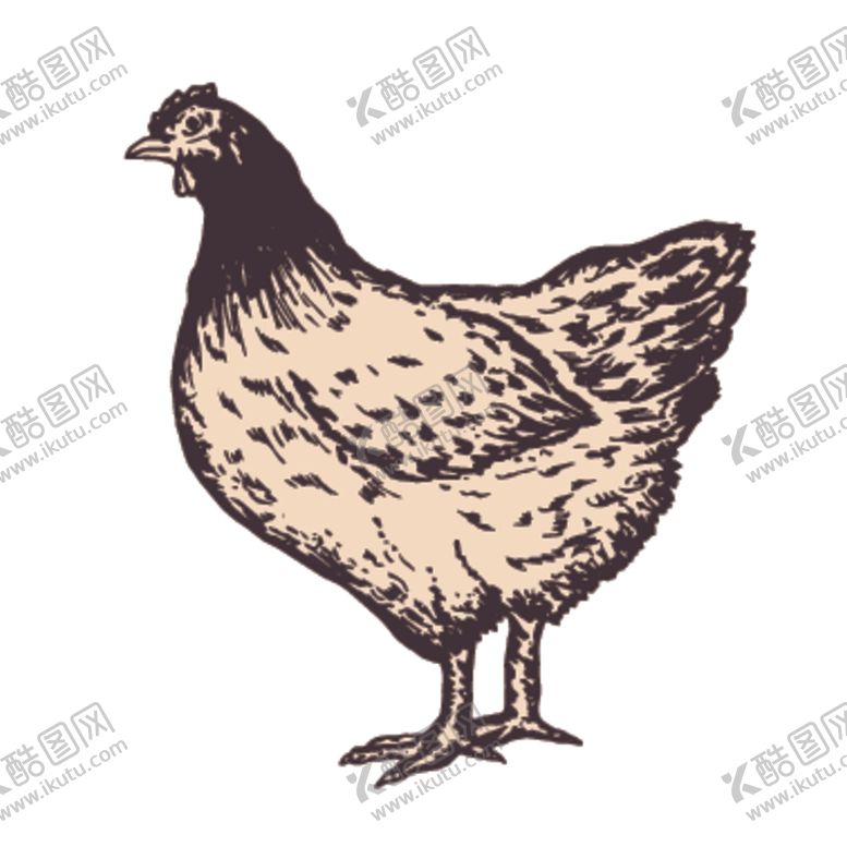 编号：83548606240216282696【酷图网】源文件下载-家养动物主题插画