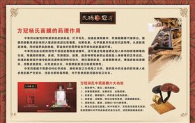 杨氏根源