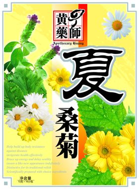 夏桑菊平面图