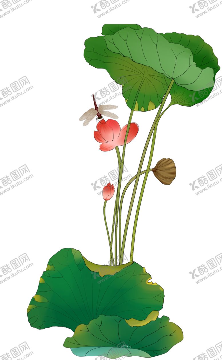 编号：32593205131933005608【酷图网】源文件下载-荷花元素