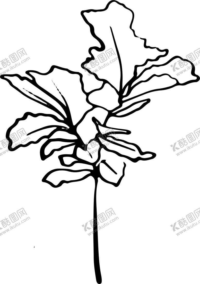 编号：42182710270824015375【酷图网】源文件下载-黑白手绘植物