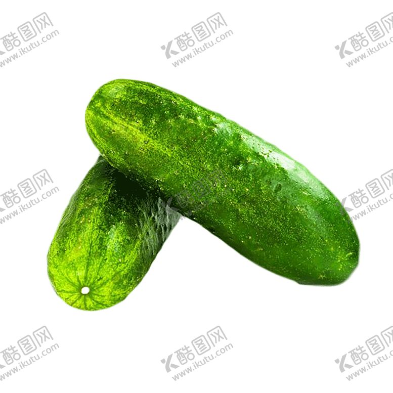 编号：65303507121512012790【酷图网】源文件下载-黄瓜