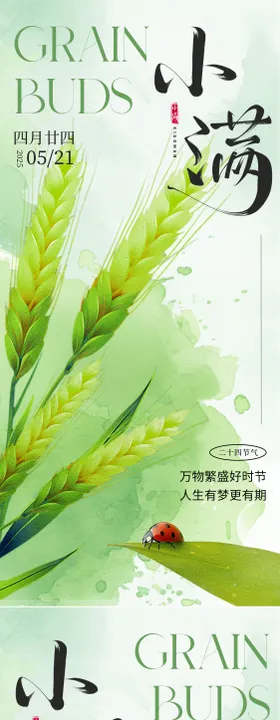 小满节气海报
