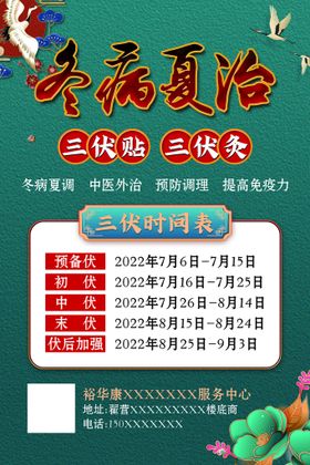 冬病夏治传统中医活动海报素材