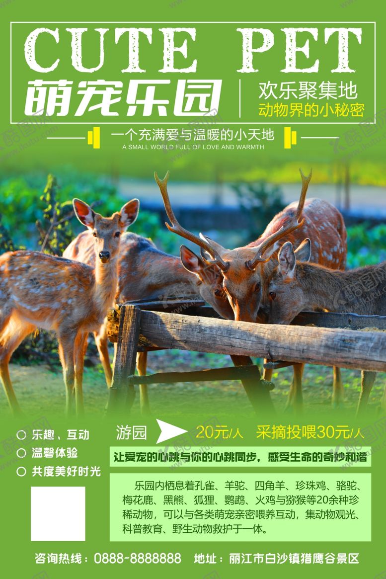 编号：83905101301238162281【酷图网】源文件下载-萌宠乐园海报