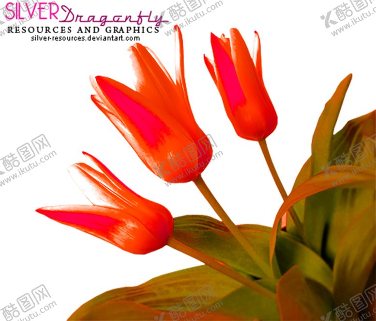 编号：84134209240403141895【酷图网】源文件下载-鲜花素材