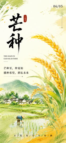芒种