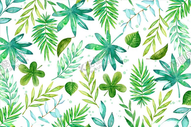 编号：71685710121233172755【酷图网】源文件下载-树叶背景