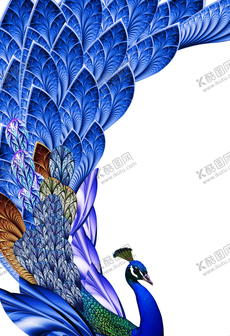编号：69570010060041494995【酷图网】源文件下载-孔雀