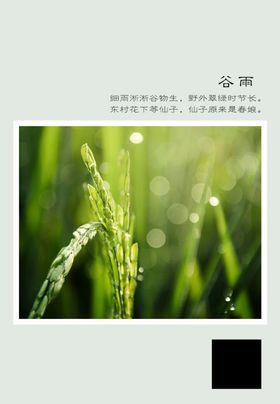二十四节气谷雨中国传统日刷图宣传