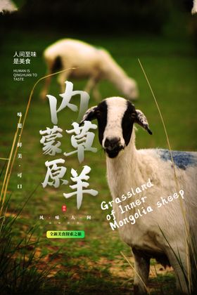 内蒙草原羊食材活动海报素材