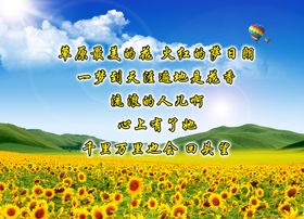 向日葵