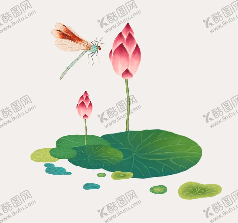 编号：15026809232318106914【酷图网】源文件下载-荷花蜻蜓