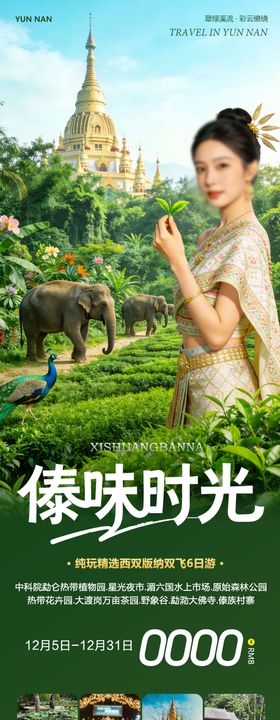 云南西双版纳勐泐傣族野象谷傣味