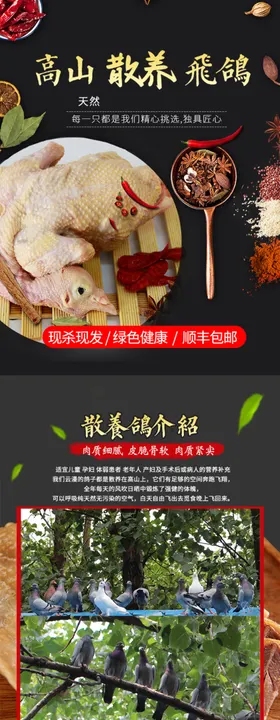 鸽子 肉 详情设计