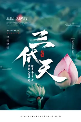 三伏天