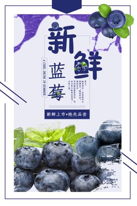 新鲜蓝莓