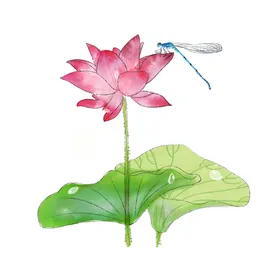 荷花元素朵朵材叶