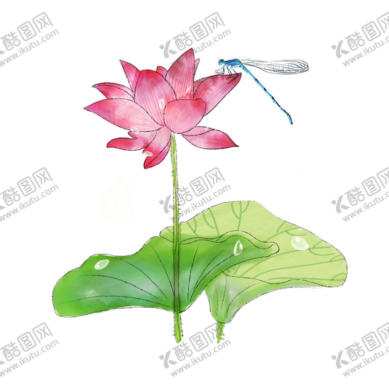 编号：26940604220355034877【酷图网】源文件下载-荷花元素