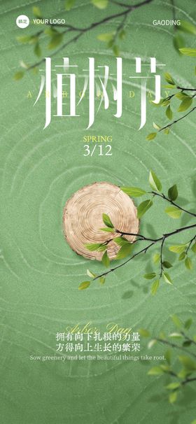 清新绿植旁的精致圆形物件