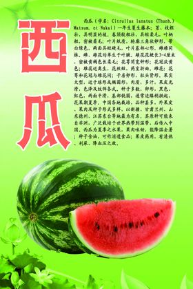 水果文化系列之西瓜
