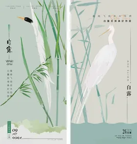 白露