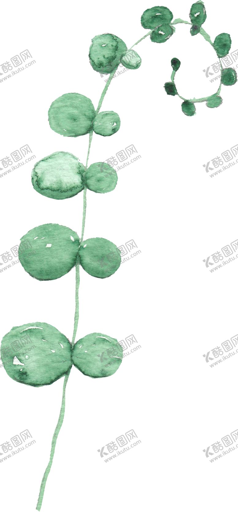 编号：87542306280322174059【酷图网】源文件下载-海报元素花草元素展架元素