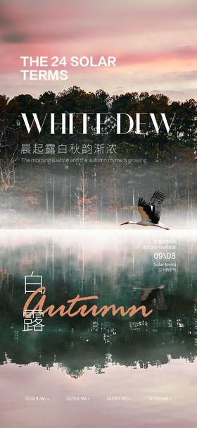 二十四节气海报 白露海报