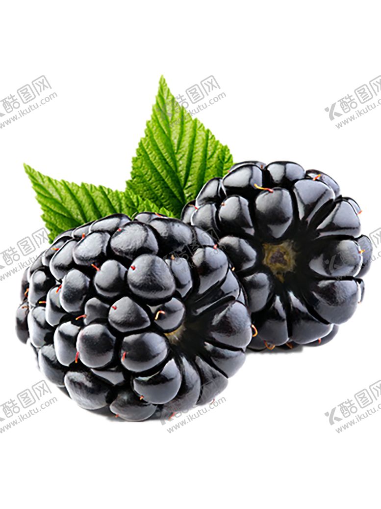 编号：74774111011309164463【酷图网】源文件下载-水果