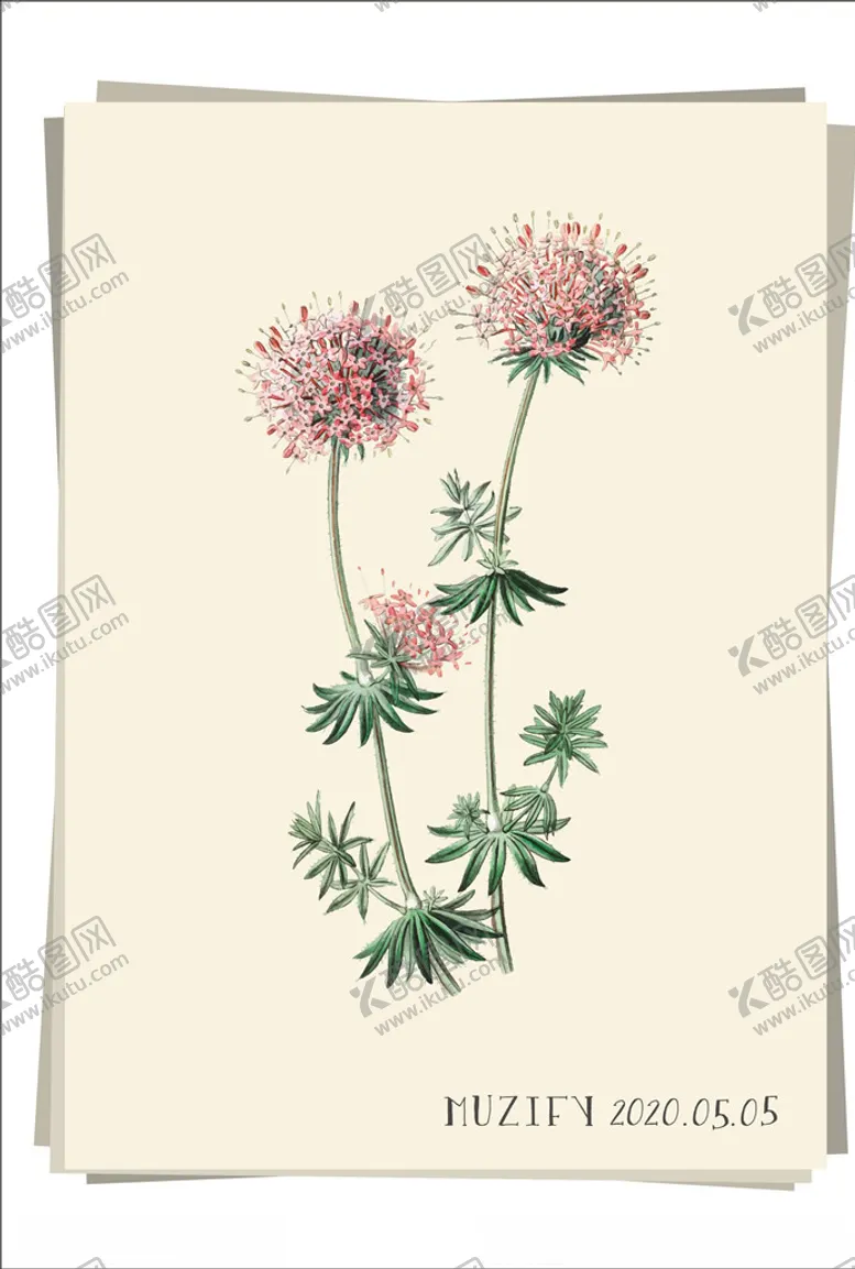 编号：86816406280113577768【酷图网】源文件下载-葱花植物图鉴