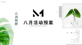 8月活动预案展板设计模板