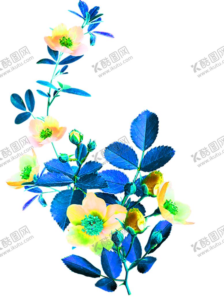 编号：92400910302341057969【酷图网】源文件下载-花素材