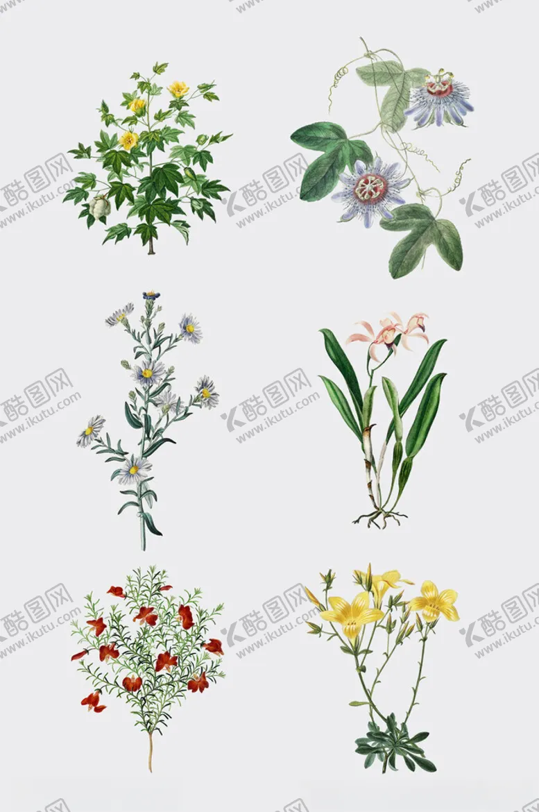 编号：54827902270432161941【酷图网】源文件下载-手绘水彩绿植插画元素