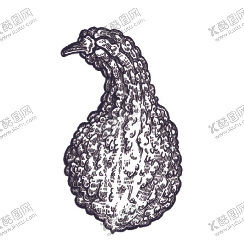 编号：58296105130445271602【酷图网】源文件下载-餐饮食物插画元素