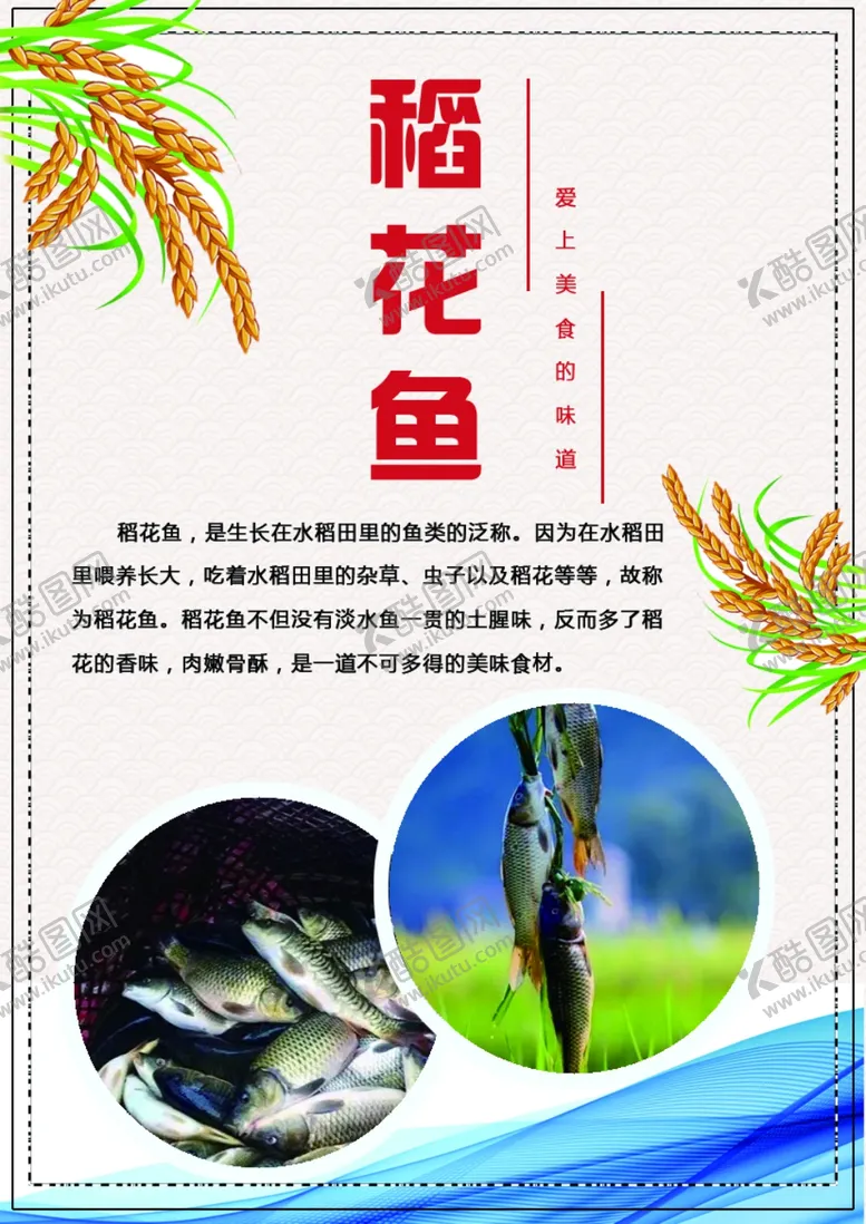 编号：56758004192234189883【酷图网】源文件下载-稻花鱼