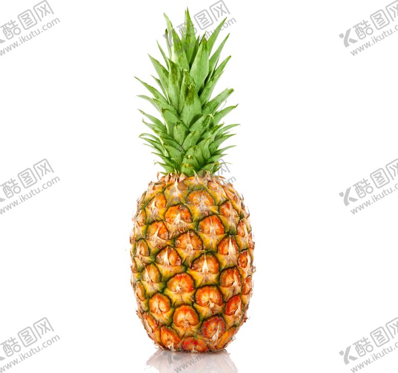编号：35914007071132028049【酷图网】源文件下载-菠萝