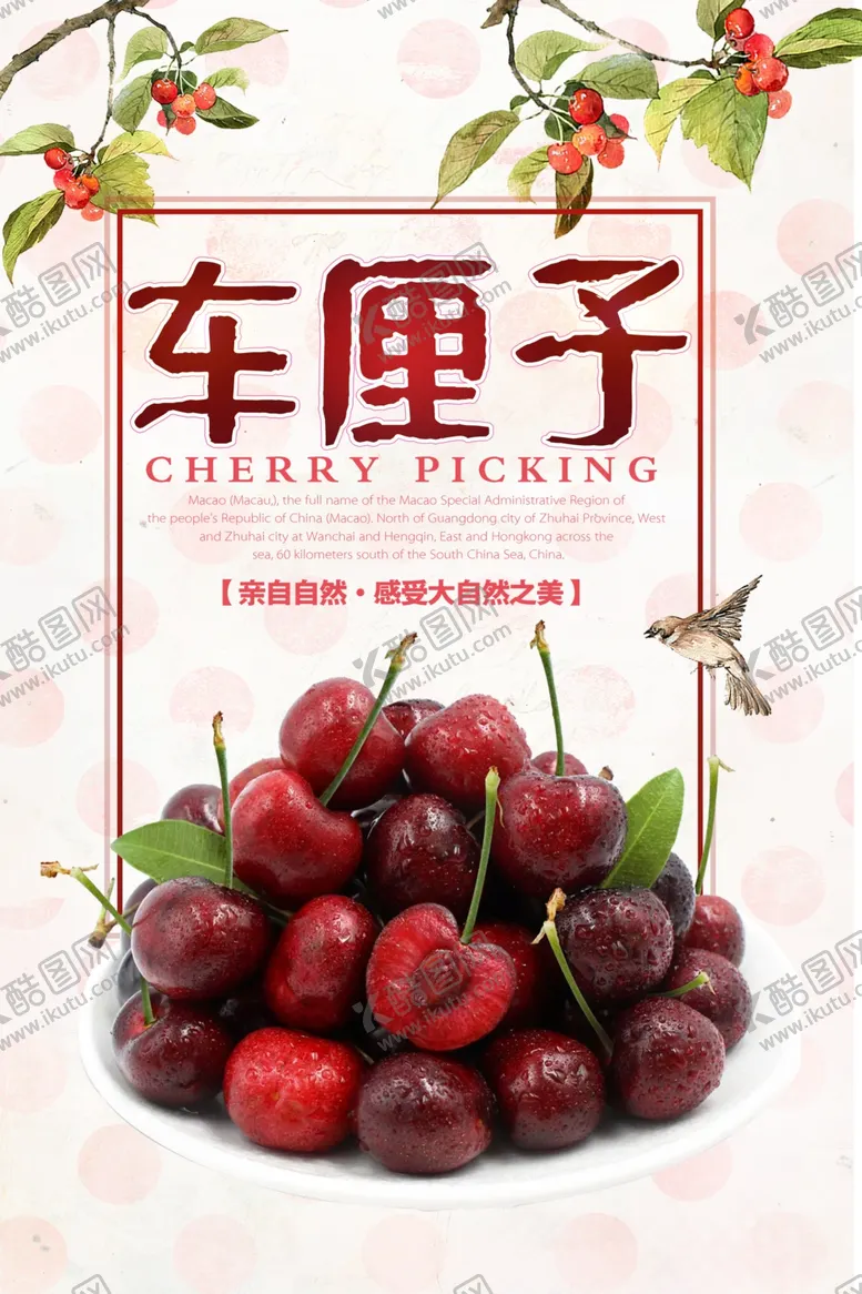 编号：27045907010443388605【酷图网】源文件下载-车厘子美食宣传海报