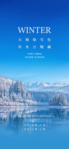 冬至大雪小雪立冬节气雪花海报