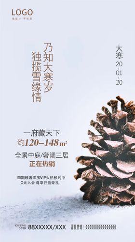 24节气创意海报大寒海报