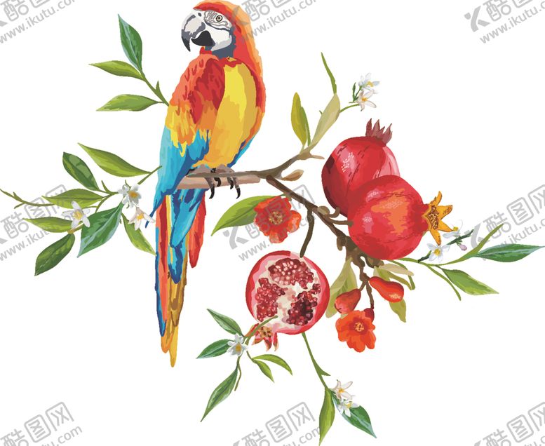 编号：66910009091704537291【酷图网】源文件下载-热带鸟