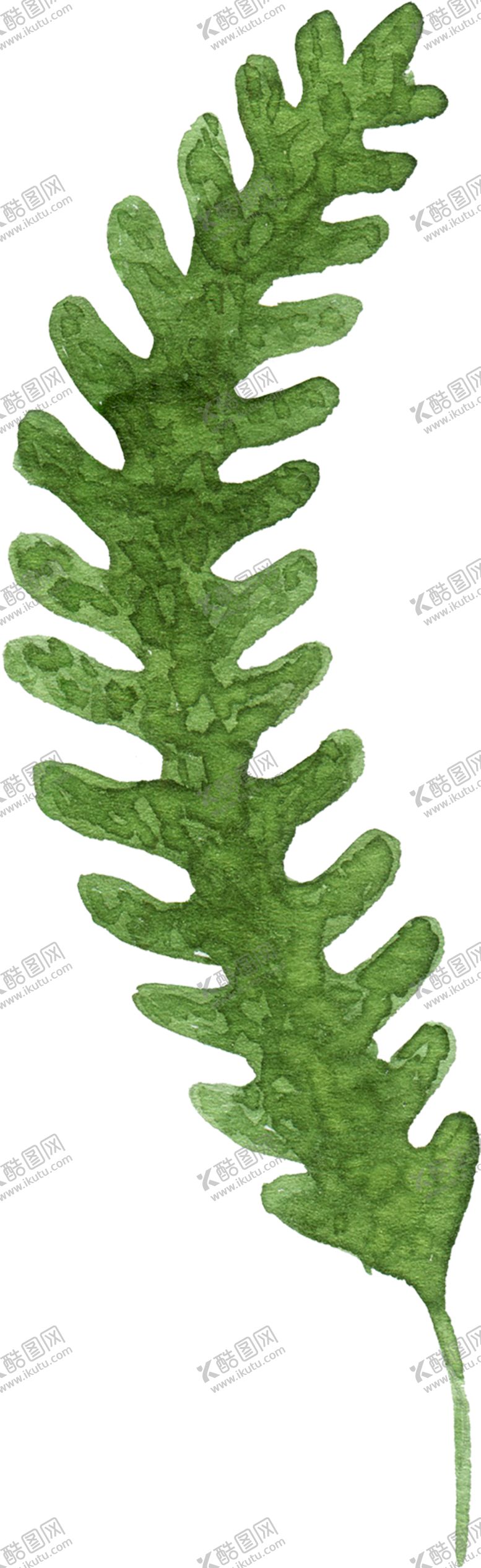 编号：53724009182034057373【酷图网】源文件下载-植物