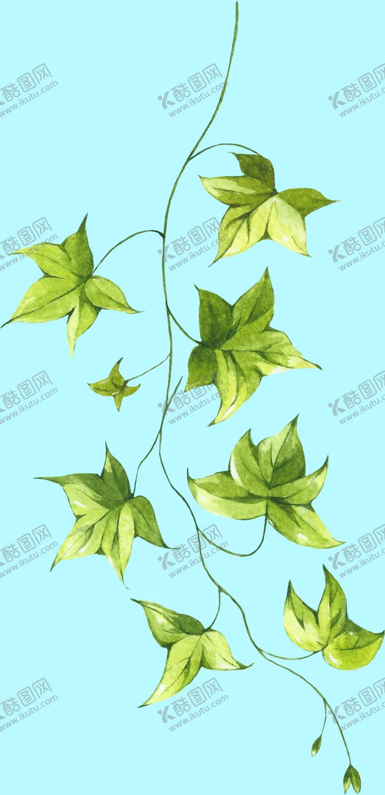 编号：63379907021310052538【酷图网】源文件下载-花卉树叶