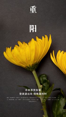 重阳节
