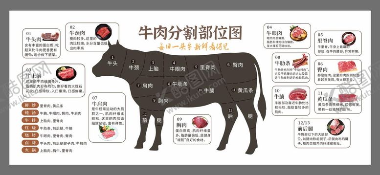编号：43785806150953291681【酷图网】源文件下载-牛肉分割分解部位图