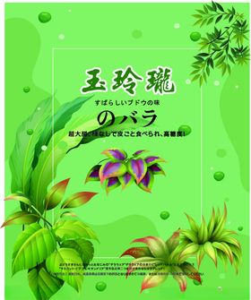 阳光玫瑰葡萄袋设计图