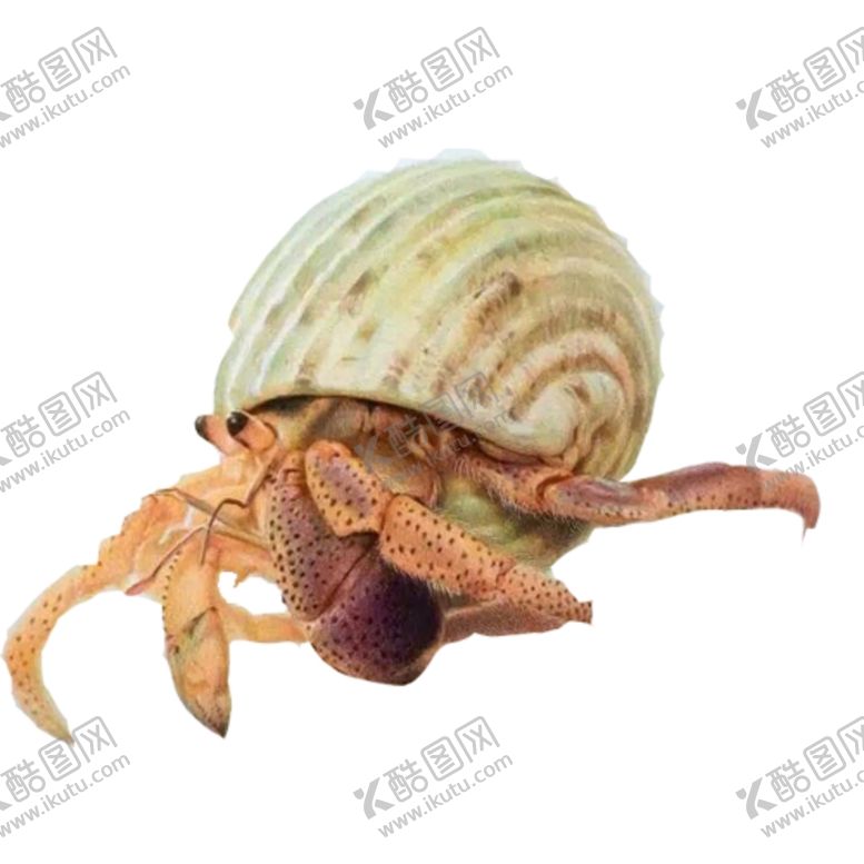 编号：83962310112353328231【酷图网】源文件下载-螃蟹