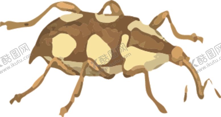 编号：24767007090837492271【酷图网】源文件下载-昆虫插画