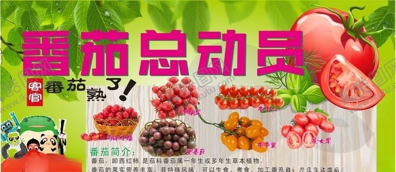 编号：31288609270508435036【酷图网】源文件下载-番茄总动员